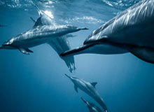 开云体育下载入口——畅享极致体育体验